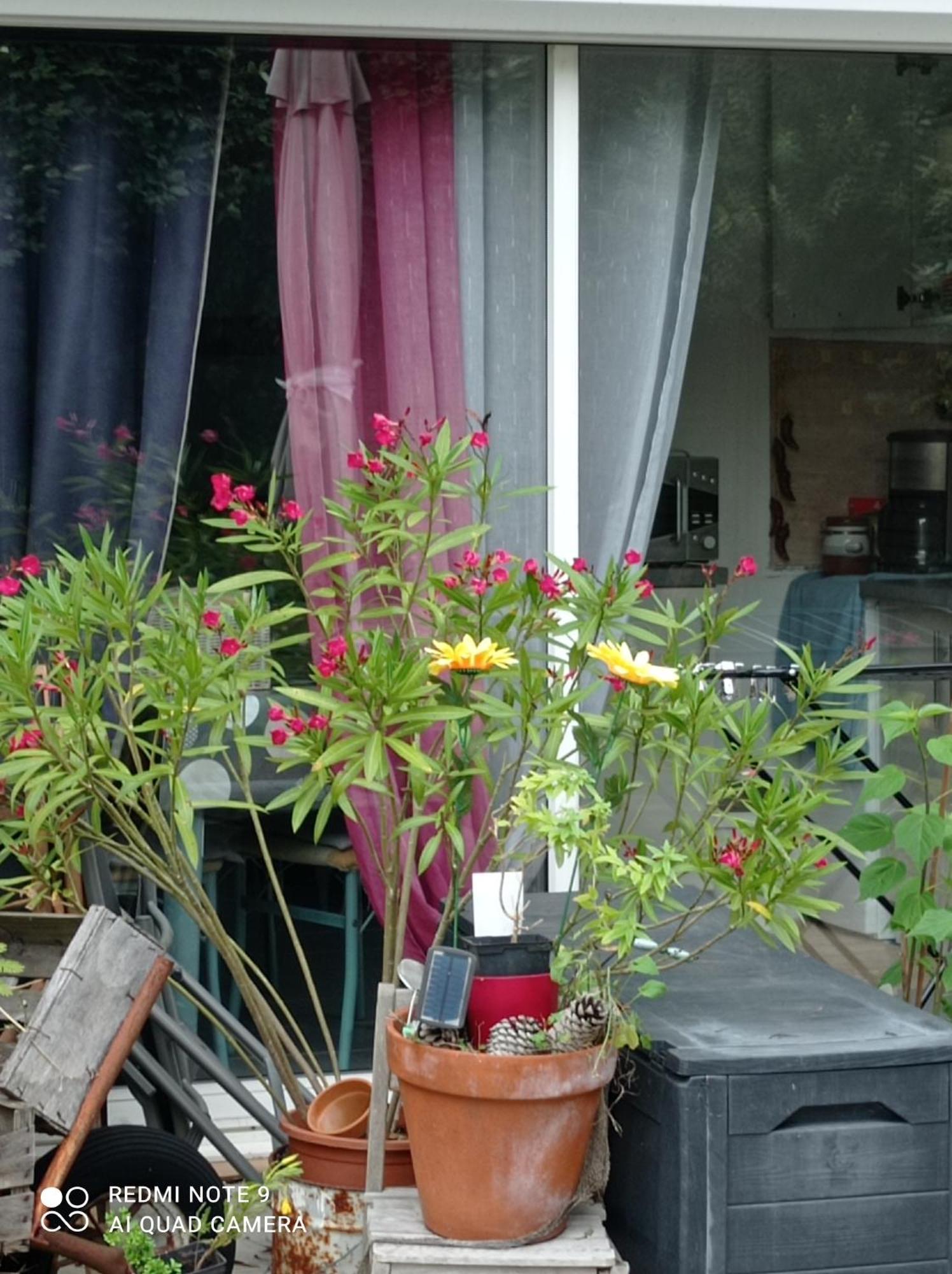 Rez-De-Jardin Piscine Chauffee Et Jardin Privatifs Βίλα Saint-Geours-de-Maremne Εξωτερικό φωτογραφία